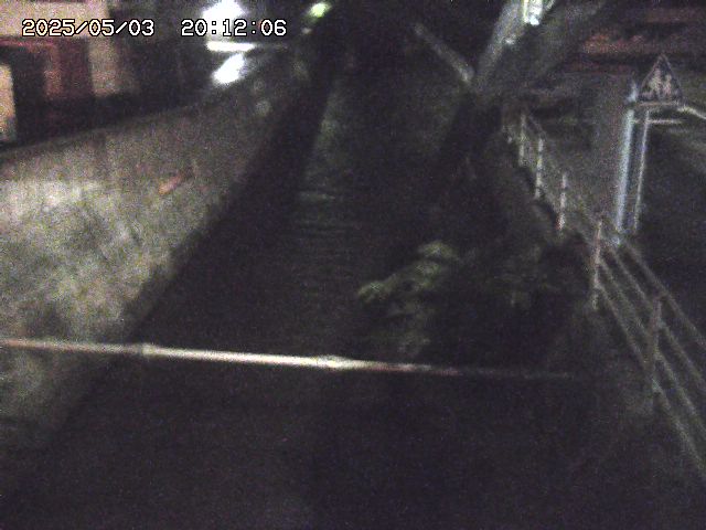 取得できませんでした